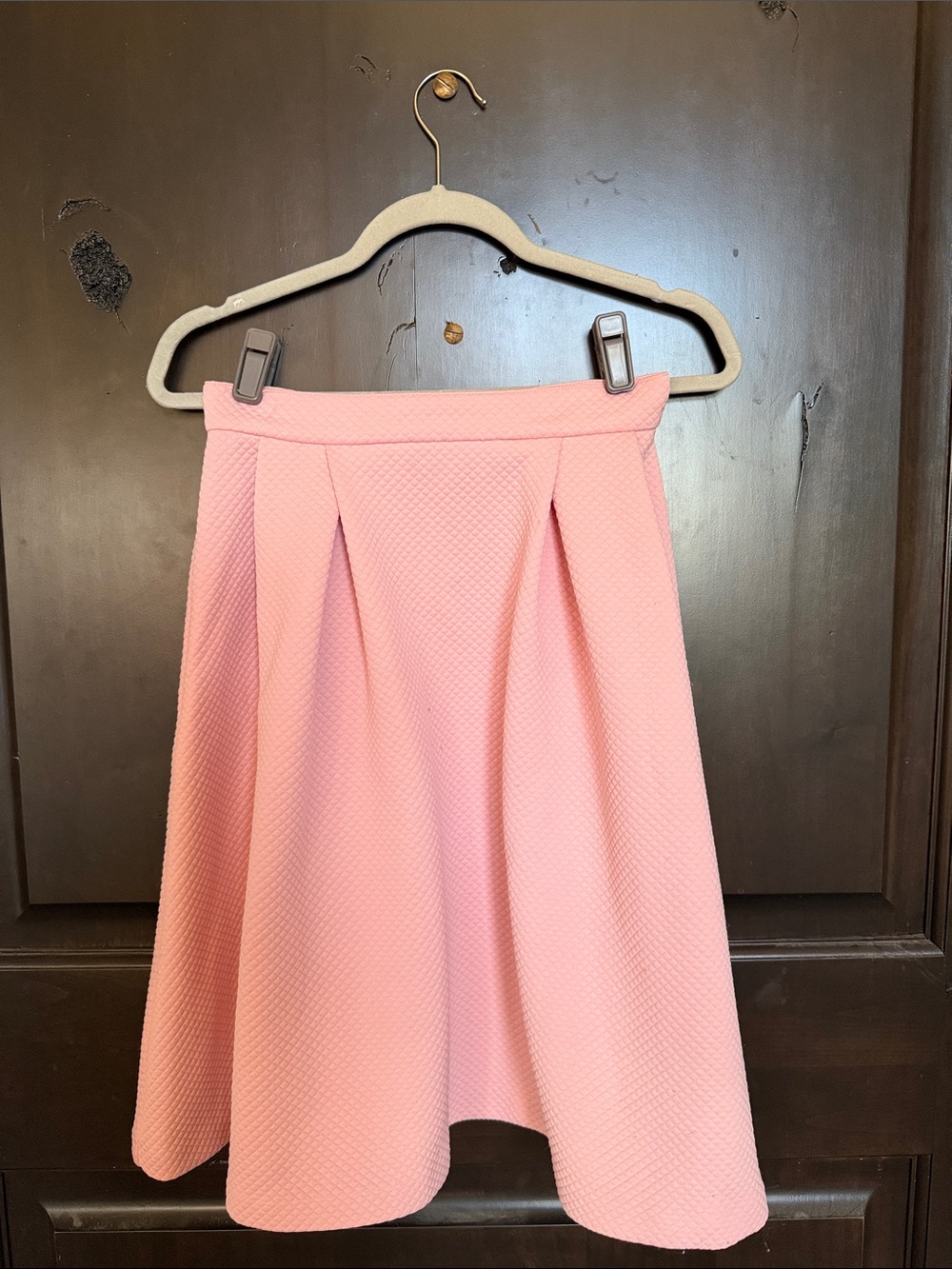 Potter’s Pot (Anthropologie) Pink Pleated Women's Skirt 27” Waist